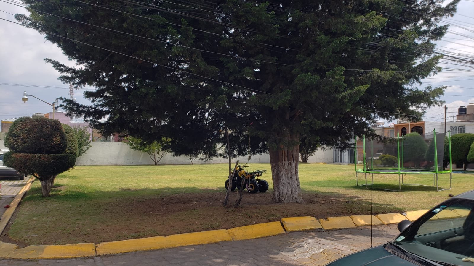 Area verde